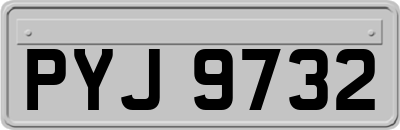 PYJ9732