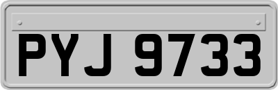 PYJ9733