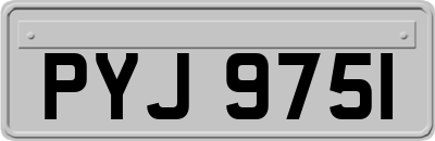 PYJ9751