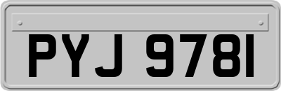 PYJ9781