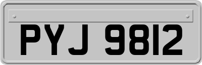 PYJ9812