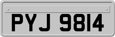 PYJ9814