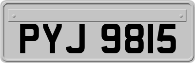 PYJ9815