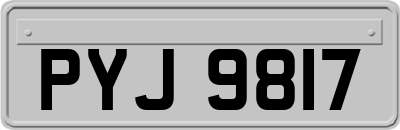 PYJ9817