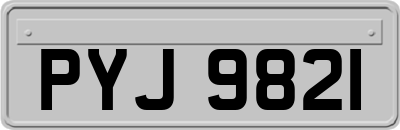 PYJ9821