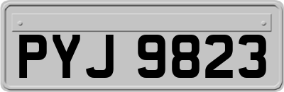 PYJ9823