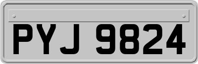 PYJ9824