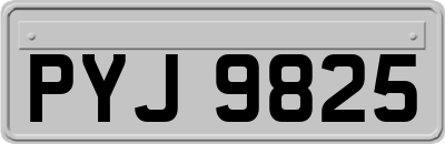 PYJ9825