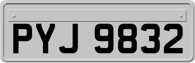 PYJ9832