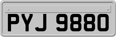 PYJ9880