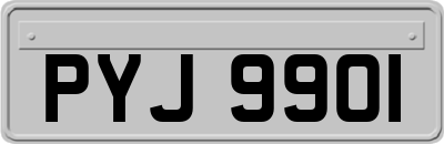 PYJ9901