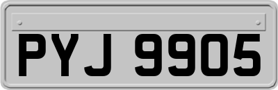 PYJ9905