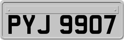 PYJ9907