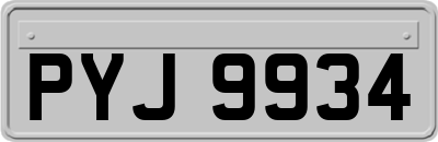 PYJ9934