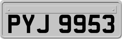 PYJ9953
