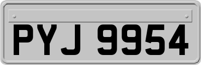 PYJ9954