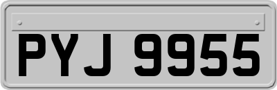 PYJ9955