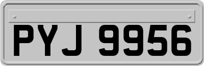 PYJ9956