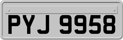 PYJ9958