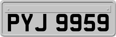 PYJ9959