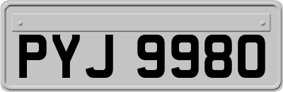 PYJ9980