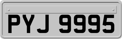 PYJ9995