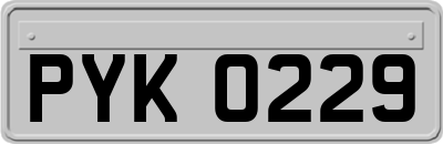 PYK0229