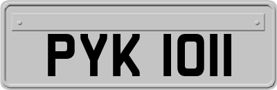 PYK1011