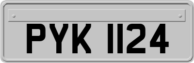 PYK1124