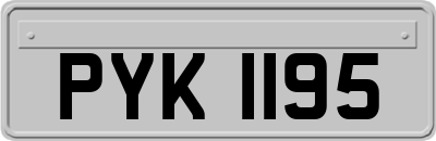 PYK1195