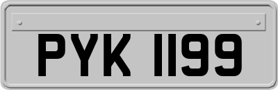 PYK1199