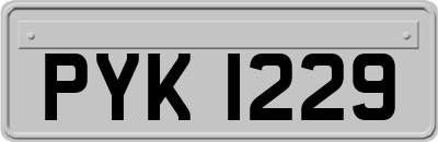 PYK1229