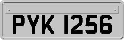 PYK1256