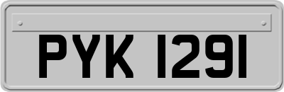 PYK1291