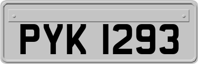 PYK1293