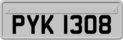 PYK1308