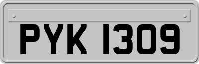 PYK1309