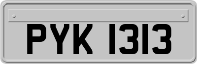 PYK1313