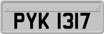 PYK1317