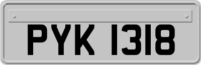 PYK1318