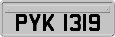 PYK1319