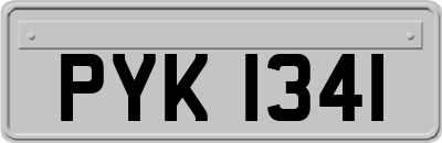 PYK1341