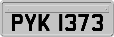 PYK1373