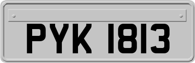 PYK1813