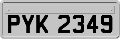 PYK2349