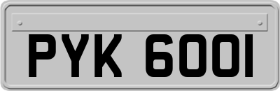 PYK6001