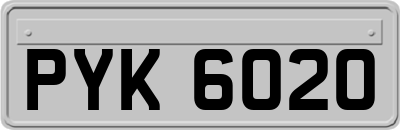 PYK6020