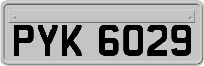 PYK6029