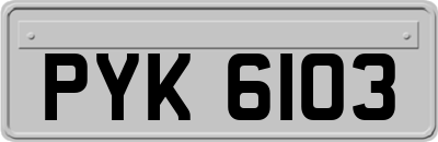 PYK6103