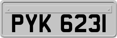 PYK6231